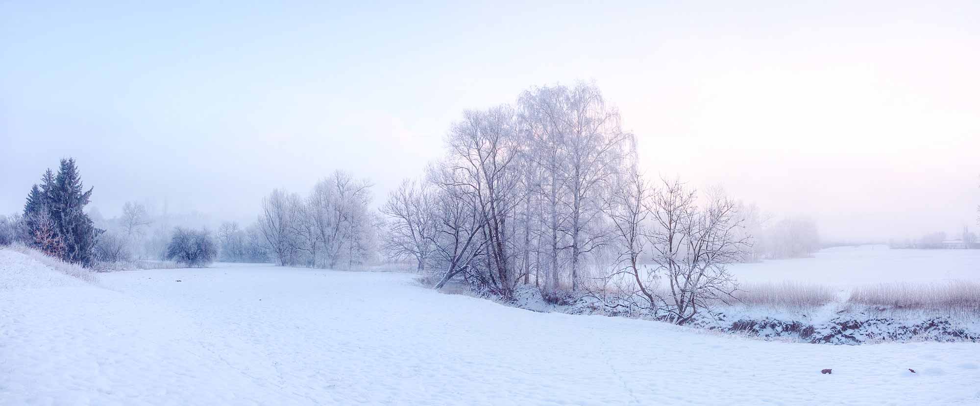 image de la campagne sous la neige